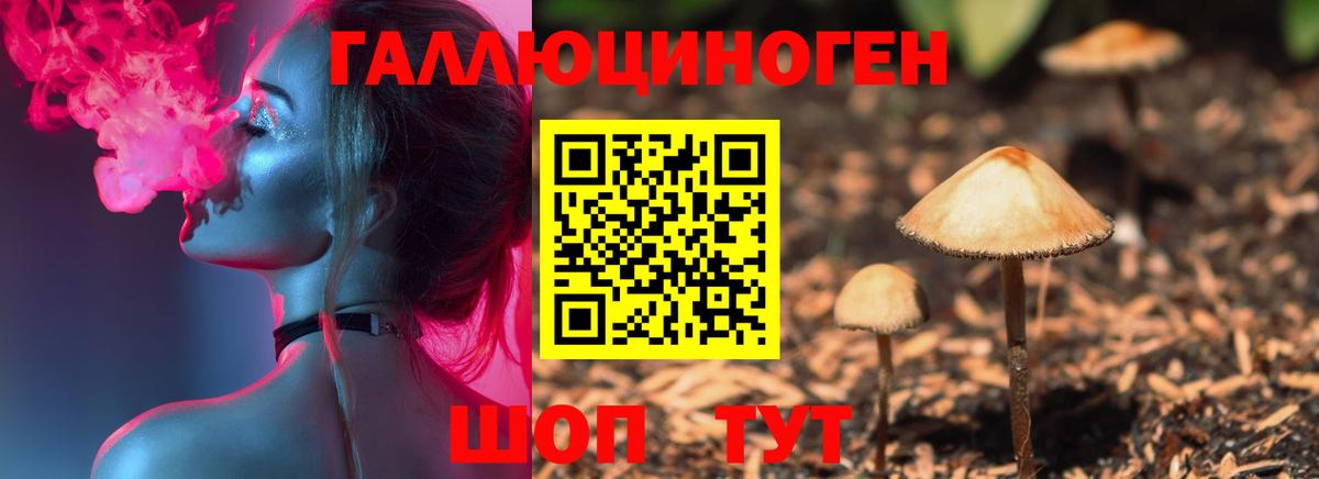 Галлюциногенные грибы Magic Shrooms Искитим
